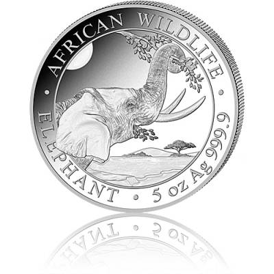 Silbermünze 5 oz Somalia Elefant 2023