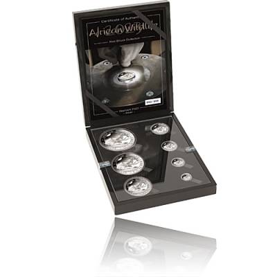 Silbermünzen Somalia Elefant First Struck Set 7 Münzen 2023
