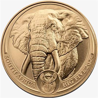 Goldmünze 1 oz Big Five Elefant Südafrika 2024