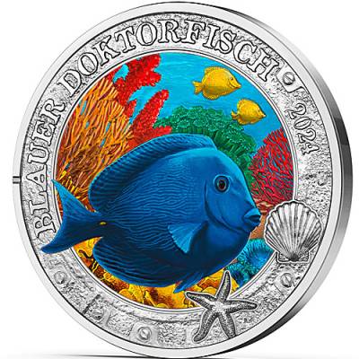 3 Euro Leuchtende Meereswelten Doktorfisch 2024