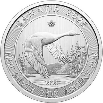 Silbermünze 2 oz Kanadische Gans Goose 2025