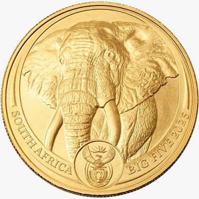 Goldmünze 1 oz Big Five Elefant Südafrika 2025