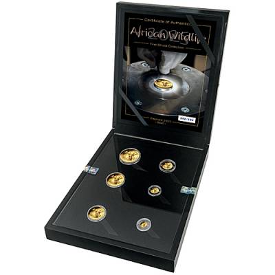 Goldmünzen Somalia Elefant First Struck Set 6 Münzen 2025