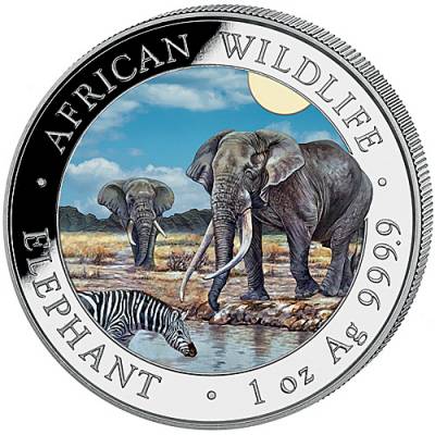 Somalia Elefant 1 Unze Silber farbig 2026
