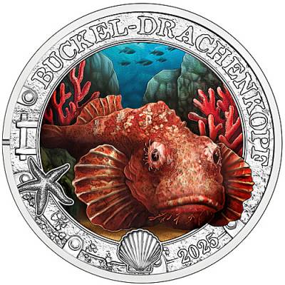 3 Euro Leuchtende Meereswelten Buckel-Drachenkopf 2025