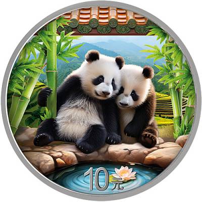 China Panda 30 gramm Silber 2026 Farbe