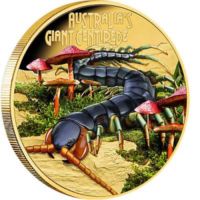 Goldmünze 1 oz Deadly & Dangerous Riesenhundertfüßer Proof 2026