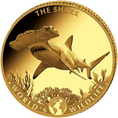 Goldmünze 0,5 gramm Worlds Wildlife Kongo The Shark 2026