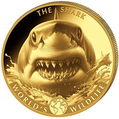 1 Unze Goldmünze Kongo World´s Wildlife Kongo The Shark 2026