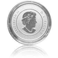 Silbermünze Santa Claus 20 Dollar Canada 2013