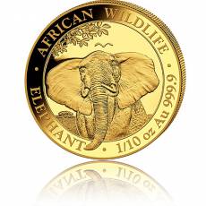 Goldmünze 1/10 oz Somalia Elefant 2021