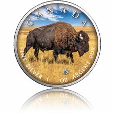 Silbermünze On the Trails of Wildlife Bison 3. Ausgabe 2021