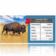 Silbermünze On the Trails of Wildlife Bison 3. Ausgabe 2021
