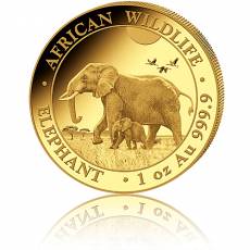 Somalia Elefant 1 Unze Gold (2022)