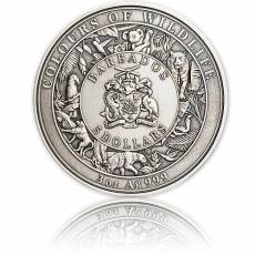 Silbermünze 3 oz Colors of Wildlife Majestical Koala 2022