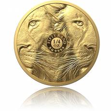 Goldmünze 1/4 oz Big Five II Löwe PP 2022