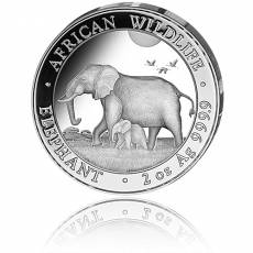 Silbermünzen African Wildlife Elefant Prestige Set 4 Münzen 2022