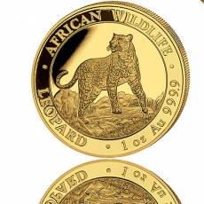 Goldmünze 0,5 gramm Somalia Leopard 2022