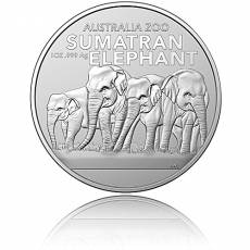 Silbermünze 1 oz Sumatra-Elefant 2022 Zoo-Serie