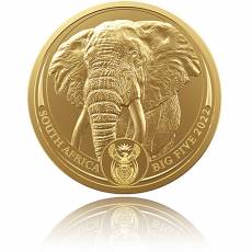 Goldmünze 1 oz Big Five Elefant Südafrika 2023