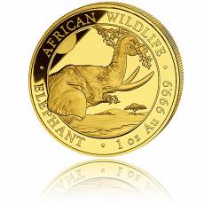 Goldmünzen Somalia Elefant First Struck Set 6 Münzen 2023