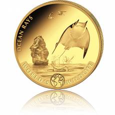 1 Unze Goldmünze Kongo World´s Wildlife Rochen - 2023