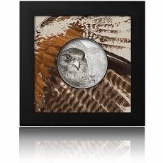 Silbermünze 3 oz Wild Mongolia Falke Polierte Platte 2023