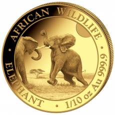 Goldmünze 1/10 oz Somalia Elefant 2024