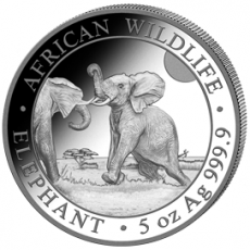 Silbermünze 5 oz Somalia Elefant 2024