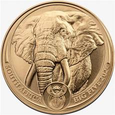 Goldmünze 1 oz Big Five Elefant Südafrika 2024