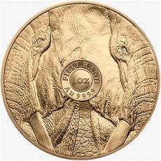 Goldmünze 1 oz Big Five Elefant Südafrika 2024