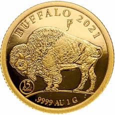 2 Coin Set Gold & Silber Indian Head & Buffalo Set 2021