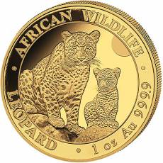 1 Unze Goldmünze Somalia African Wildlife Leopard 2024