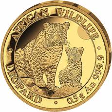 Goldmünze 0,5 gramm Somalia Leopard 2024