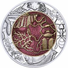 Silbermünze 25 Euro Niob Edaphon – Lebendiger Boden Österreich 2024