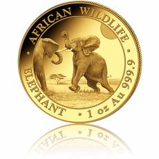Goldmünzen 4-Coin-Prestige Set African Wildlife Elefant 2024
