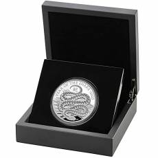 Silbermünze 5 oz Lunar Schlange Royal Mint PP 2025