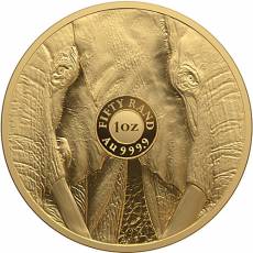 Goldmünze 1 oz Big Five III Elefant PP 2024