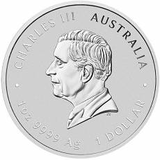 1 Unze Silbermünze Australien Lunar III Schlange 2025