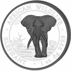 Silbermünzen - Satz Somalia Elefant Black & White 2025