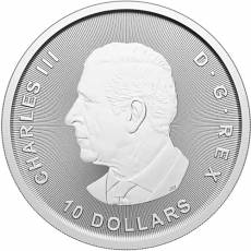 Silbermünze 2 oz Kanadische Gans Goose 2025