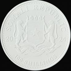 1 Unze Silbermünze Somalia African Wildlife Leopard White Cerafine Rosegold 2024