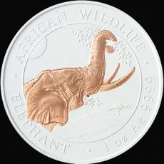 Somalia Elefant 1 Unze Silber White Cerafine Rosegold 2023