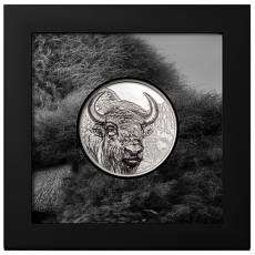 Silbermünze 3 oz Wild Mongolia Bison Polierte Platte 2025