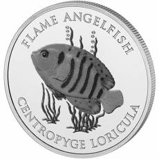Silbermünze 1 oz Marine Life Flame Angel Fish Pitcairn Islands 2025