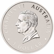 1 Unze Silbermünze Australien Wedge Tailed Eagle 2025