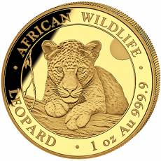 1 Unze Goldmünze Somalia African Wildlife Leopard 2025