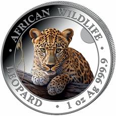 1 Unze Silbermünze Somalia African Wildlife Leopard farbig 2025