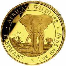 Goldmünzen 4-Coin-Prestige Set African Wildlife Elefant 2025