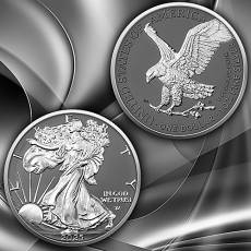 Silbermünze 1 Unze American Silver Eagle Silver Ring 2025
